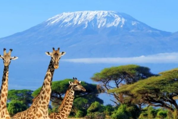 Screenshot_20250312_192228_Google