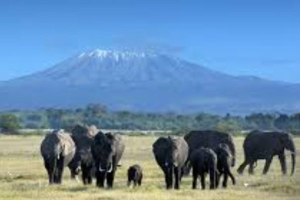 Screenshot_20250312_192250_Google