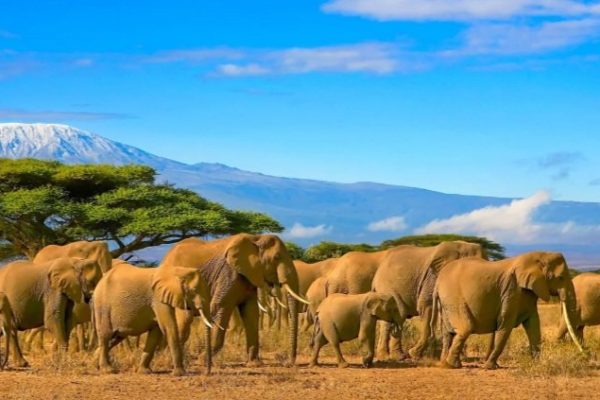 Screenshot_20250312_192315_Google