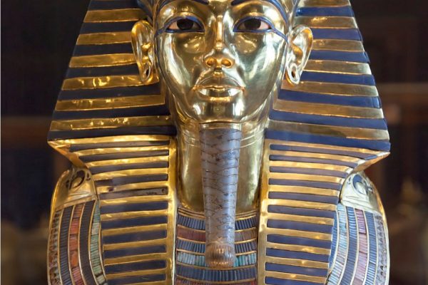 Screenshot_20260209_204241_Google