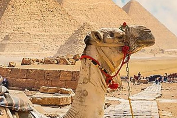 Screenshot_20260209_204250_Google