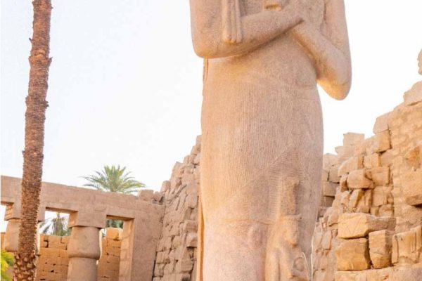 Screenshot_20260209_204302_Google