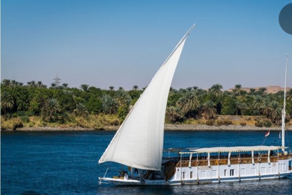 Screenshot_20260209_204605_Google