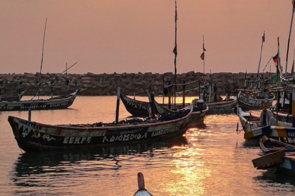 Screenshot_20260303_121505_Google