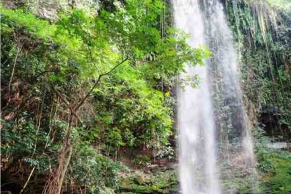 Screenshot_20260303_121543_Google